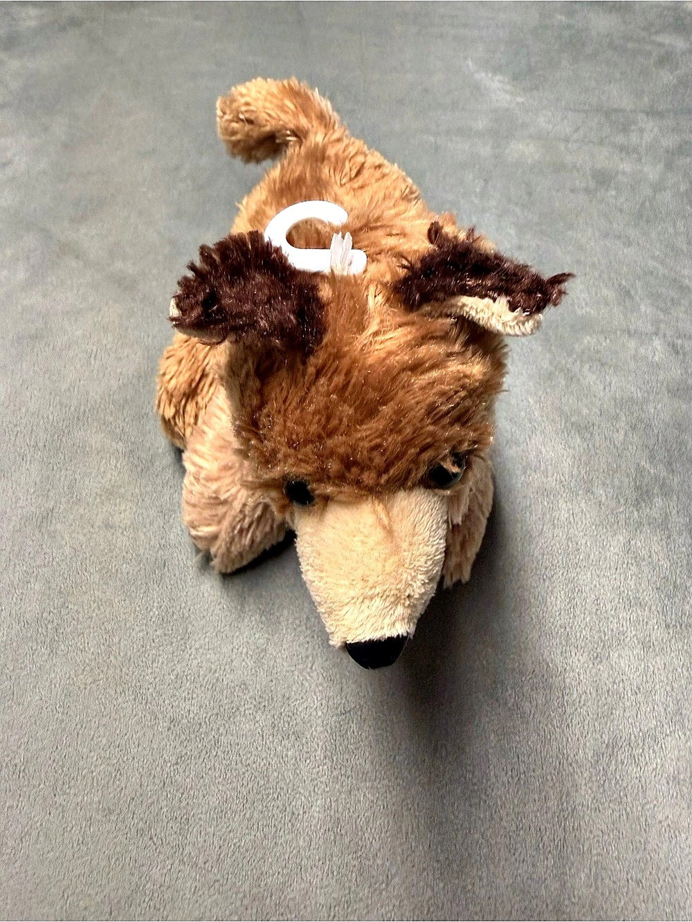 Aurora World Plush - Mini Flopsie - CLEVER the Coyote (8 inch)